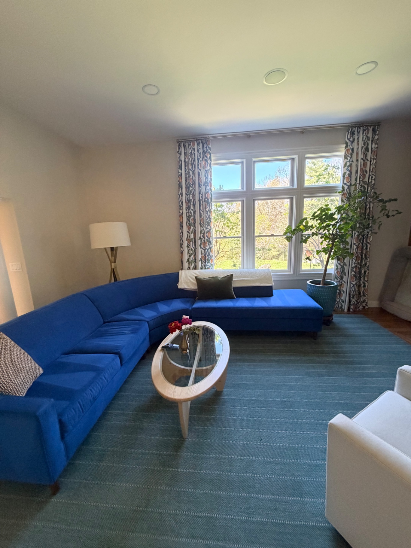 Cozy living room with blue sectional and natural light